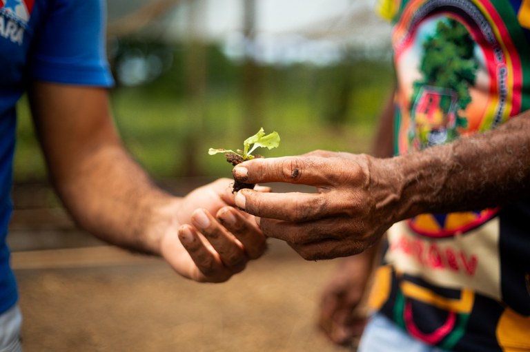 Segunda Caravana Brasil Sem Fome chega ao Pará para implementar ações de erradicação da fome