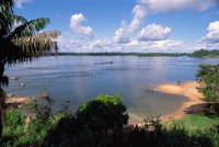 BNDES seleciona quatro projetos de restauração da bacia hidrográfica em Xingu, no Pará e Mato Grosso