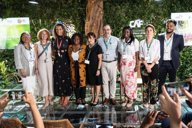 COP 16: Brasil implementa Programa Quilombo das Américas em parceria com a Colômbia