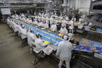 6,2%: trimestre encerrado em outubro tem a menor taxa de desocupação em 13 anos