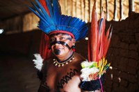 Governo apresenta balanço das ações de 2024 na Terra Indígena Yanomami