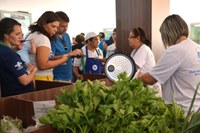 Nordeste abrigou 15,6% dos pequenos negócios abertos no Brasil