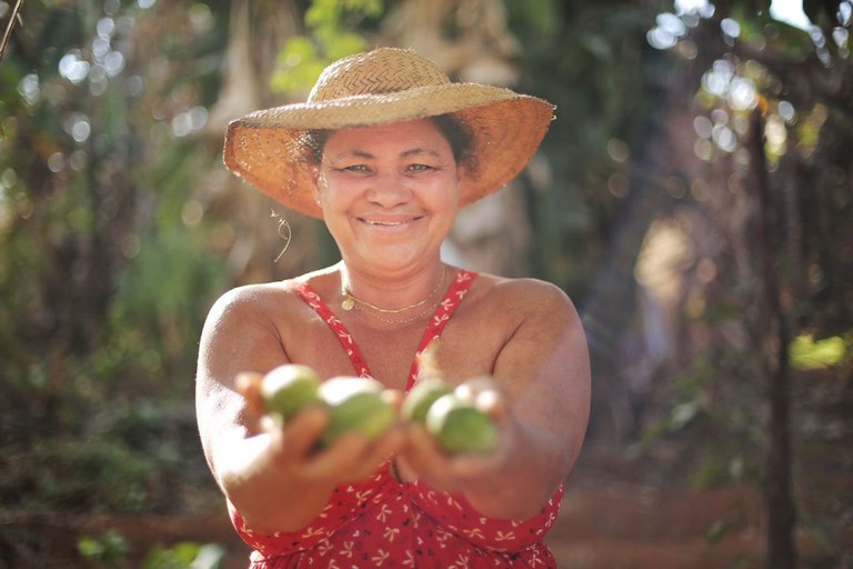 Governo abre sistema do PAA para compras da agricultura familiar