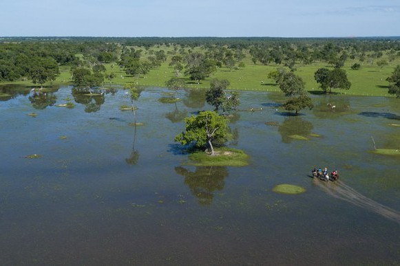 Campo Grande sediará a COP15 da Convenção sobre Espécies Migratórias