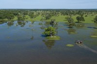 Campo Grande sediará a COP15 da Convenção sobre Espécies Migratórias