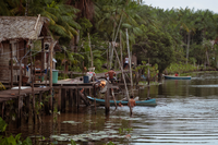 Programa Bolsa Verde já beneficia mais de 55 mil famílias