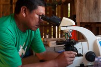 Brasil reduz 26% dos casos de malária no primeiro trimestre de 2025