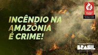 Governo Federal inicia campanha de prevenção e combate aos incêndios criminosos na Amazônia Legal