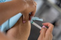 Ministério da Saúde pedirá incorporação da vacina contra Chikungunya no SUS