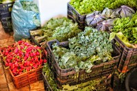 PAA adquire e distribui mais de 2,15 mil toneladas de alimentos em março