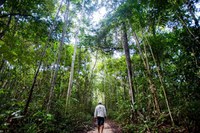 Agricultores que conservaram a floresta começam a receber R$ 2,2 milhões do Projeto Floresta+ Amazônia