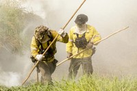 Governo autoriza contratação de brigadas federais pelo Prevfogo para atuar em dezenas de municípios