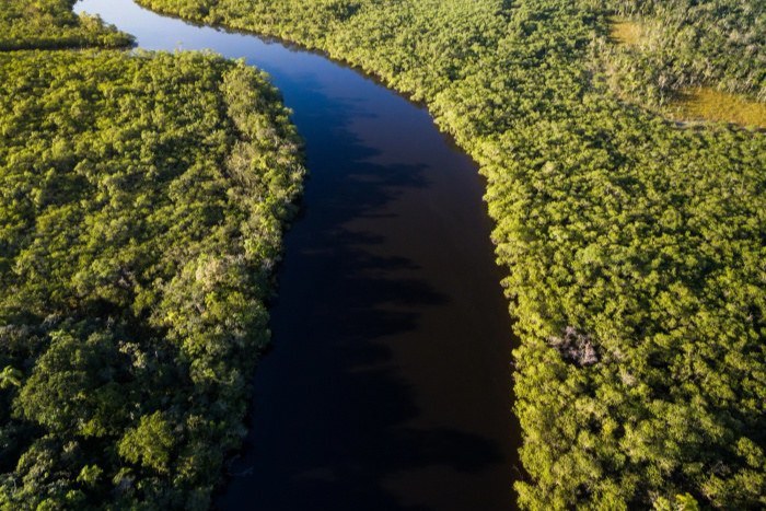 Fundo Amazônia