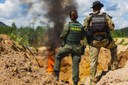 Operação - Ibama e Polícia Federal.jpeg