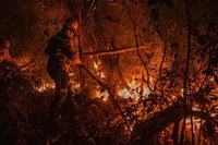 R$ 150 milhões do Fundo Amazônia aprovados para prevenção e combate a incêndios no Cerrado e no Pantanal
