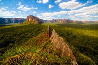 BNDES destinará R$ 100 milhões para restauração de biomas na segunda fase do Floresta Viva