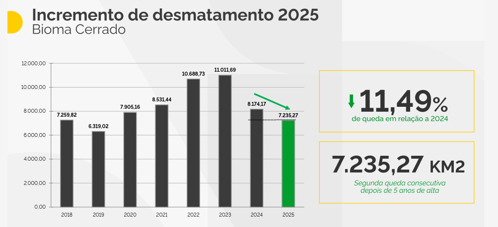 Melhoria dos indicadores no Cerrado