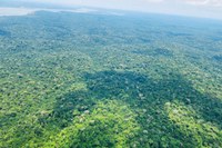 Governo do Brasil cumpre metas de proteção a indígenas e STF encerra ação