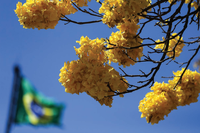 Brasil tem crescimento expressivo nos índices de confiança da população no Governo Federal e em seus serviços, indica OCDE