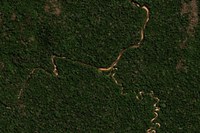 Primeira fase de operação na TI Uru-Eu-Wau-Wau impõe prejuízo de R$ 7,5 milhões a infratores