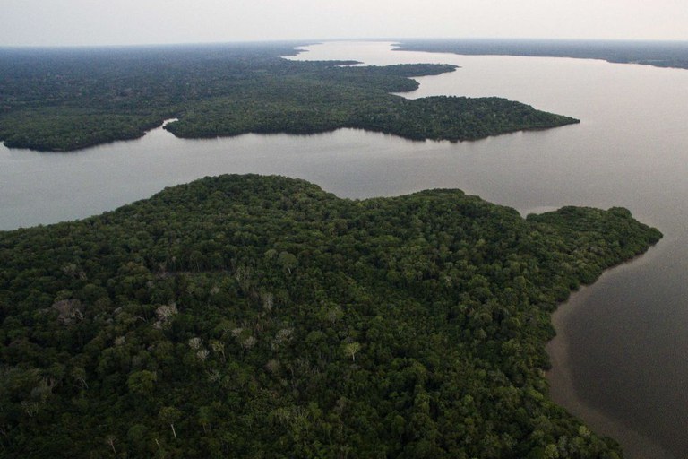 ProFloresta+: BNDES e Petrobras lançam primeiro edital para compra de 5 milhões de créditos de carbono
