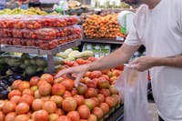 Tomate, cenoura e batata ficaram mais baratos em novembro, aponta Conab