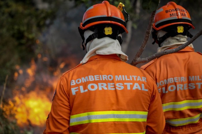 Governo Federal destina R$ 45 milhões para combate e prevenção a incêndios em Mato Grosso