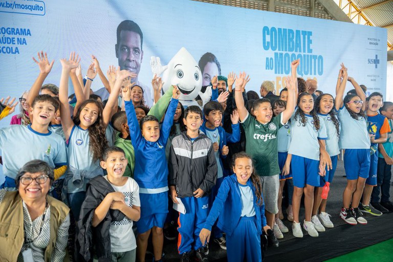 Combate ao mosquito.jpg