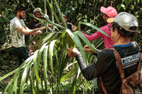 Governo do Brasil firma acordo para integrar cultura e meio ambiente em territórios tradicionais