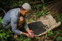 Abertas as inscrições de projetos para regularizar áreas e apoiar produção de 30 mil agricultores familiares na Amazônia