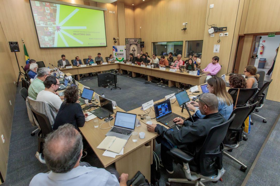 Colegiado se reuniu em Brasília para analisar iniciativas culturais e discutir a pauta climática no fomento à cultura