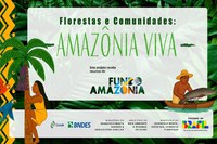 Fundo Amazônia lança chamada pública de R$ 80 milhões para produção sustentável