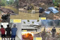 Governo do Brasil acelera desintrusão e já reduziu em 98,9% a área de garimpo na Terra Yanomami