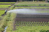 Governo do Brasil já aprovou R$ 7,2 bilhões para produtores rurais impactados por eventos climáticos