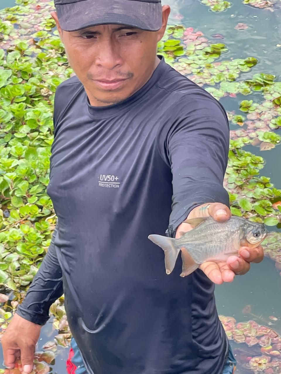 Soberania alimentar2.jpg