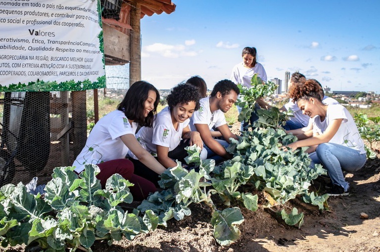 Começa o período de adesão ao programa de cidadania e sustentabilidade