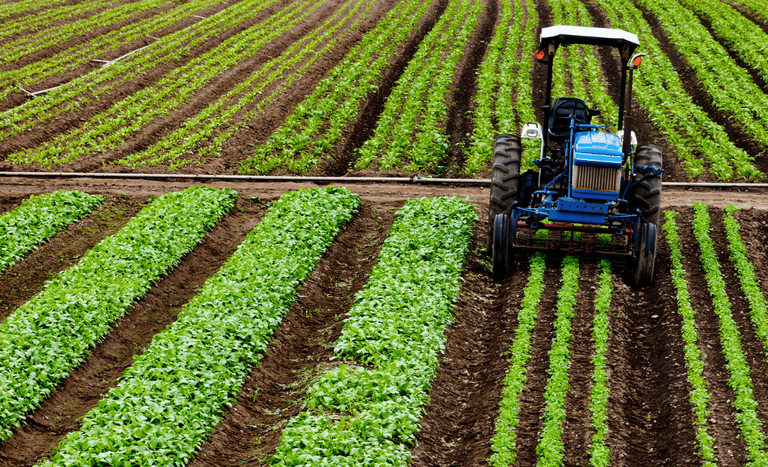 Com alta de 10%, crédito rural empresarial atinge R$ 404 bilhões no Plano Safra 2025/2026