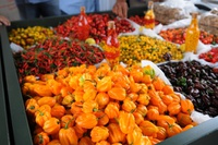 Feira Brasil na Mesa leva a diversidade dos alimentos nacionais ao consumidor