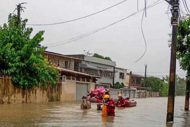 Chuva Pernambuco