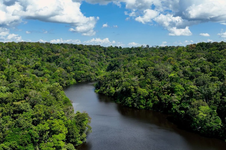Floresta_Getty_Images.jpg