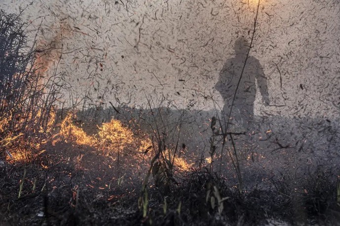 Até o momento, já são 47 planos de trabalho para assistência humanitária para apoiar as ações de resposta aos incêndios florestais e ao período de estiagem no estado