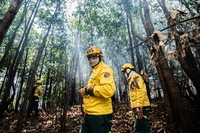 Governo Federal intensifica combate a incêndios florestais no Pará