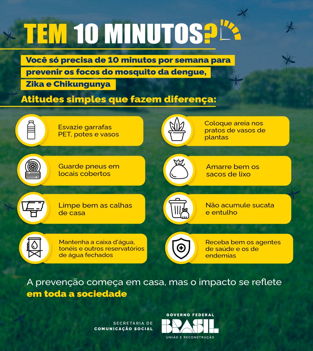 Infográfico - Combate à Dengue