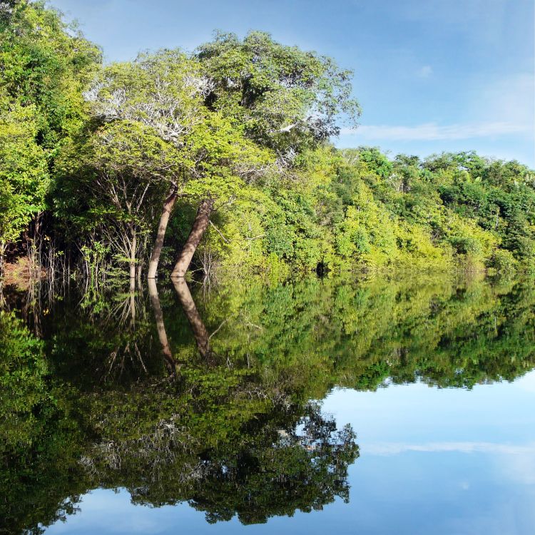 Título da notícia 2