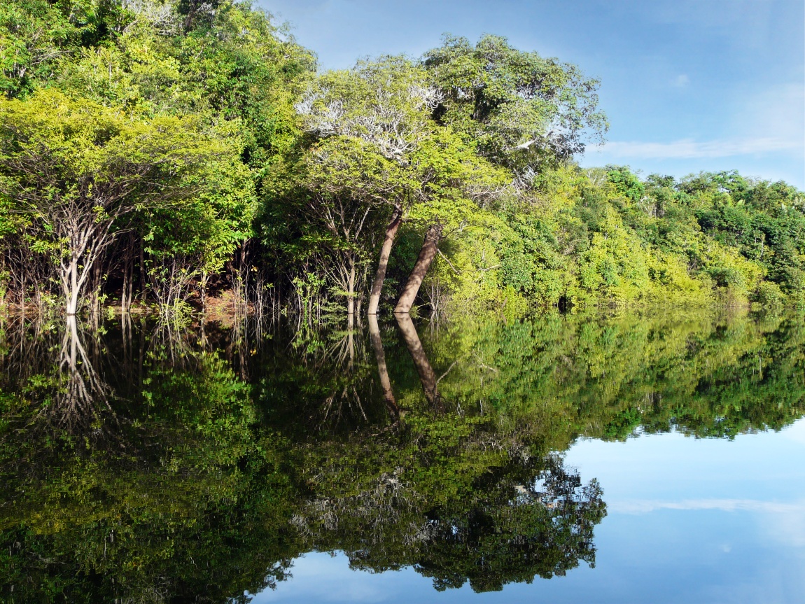 Concurso Dom Phillips e Bruno Pereira é uma resposta de reparação e defesa da Amazônia