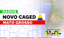 Banner Caged - Mato Grosso