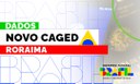 Banner Caged - Roraima