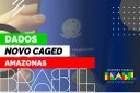 Dados do Amazonas no Novo Caged