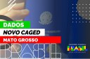 Dados de Mato Grosso no Novo Caged