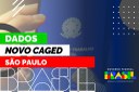 Dados de São Paulo no Novo Caged